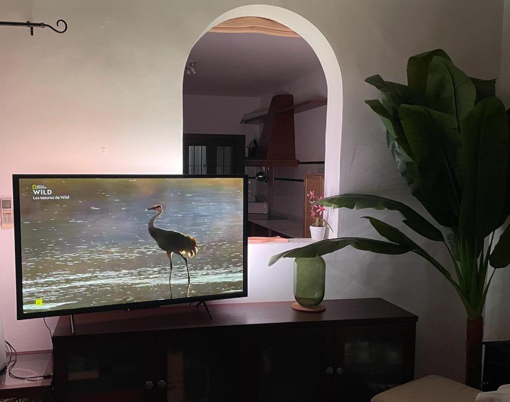 Casa Con Piscina En San Jose Sotillo Kültér fotó
